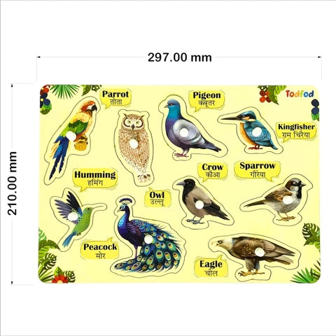 Educational chart with illustrations of various birds and their names in both English and Hindi.