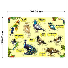 Educational chart with illustrations of various birds and their names on a yellow background.