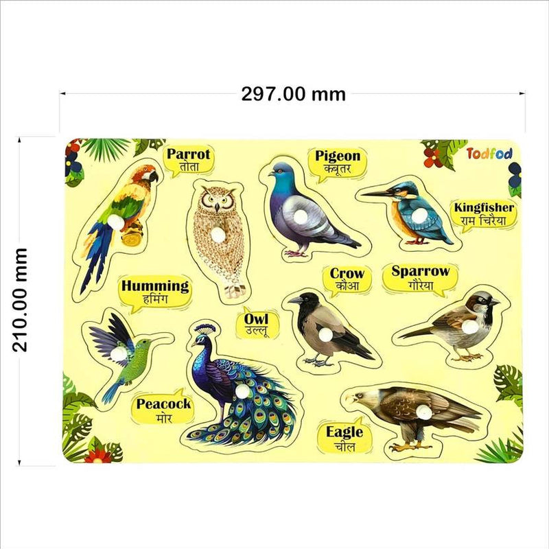 Educational chart with illustrations of various birds and their names on a yellow background.