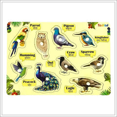 Set of bird illustrations with labels on a yellow background