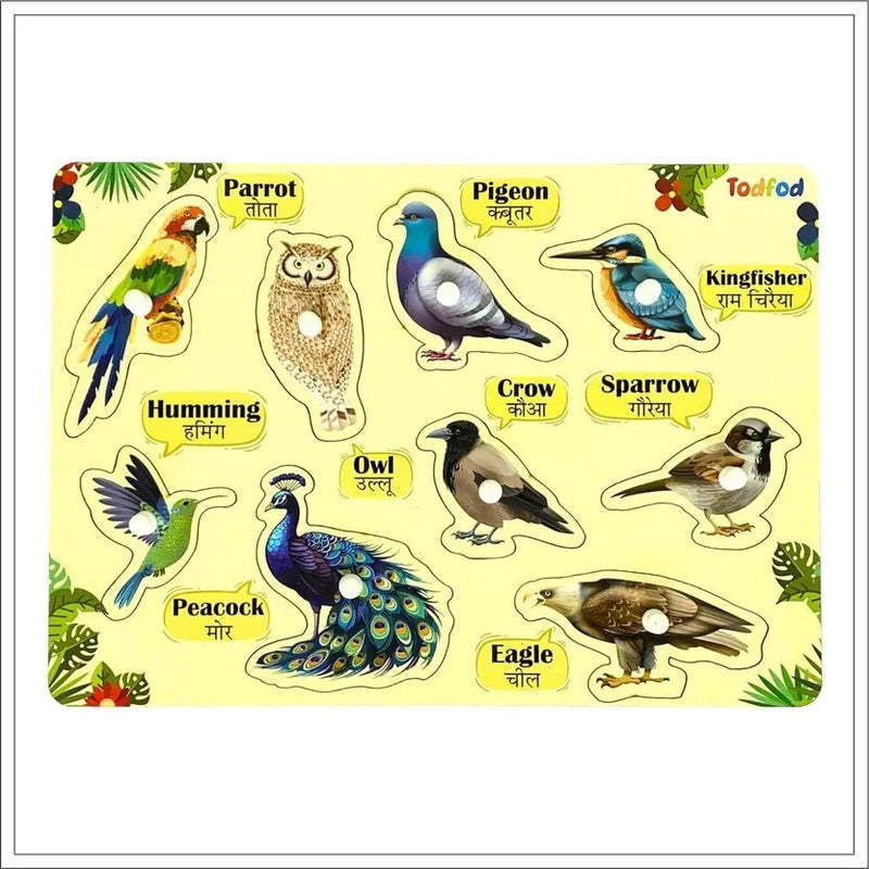 Set of bird illustrations with labels on a yellow background