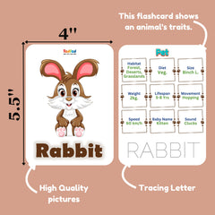 Flashcard with a rabbit illustration and information on a brown background