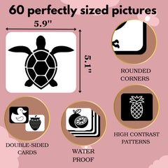 Product features with turtle illustration, dimensions, and card examples on a pink background