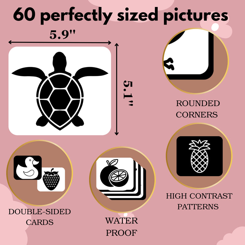 Product features with turtle illustration, dimensions, and card examples on a pink background