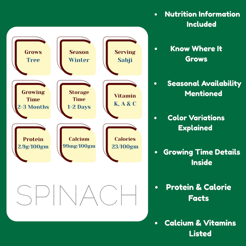 Nutritional information card for spinach on a green background