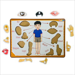 Educational puzzle with body parts labeled on a white background