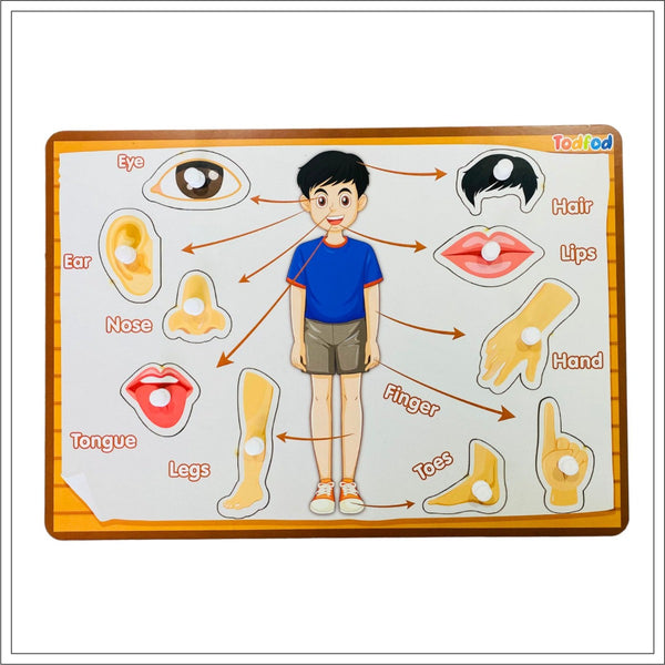 Todfod Wooden Jigsaw Puzzles Body parts  Characters for Kids