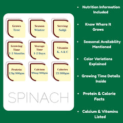 Nutritional information card for spinach on a green background
